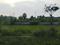 Del NCR Infra Main Image 1