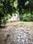 DLF City Phase 1 Main Image 1