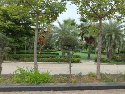 Image of 300 Sq.ft Residential Plot / Land for sale in Omaxe Phase 3 Mullanpur, New Chandigarh, Chandigarh for Rs. 51000000