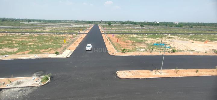 Mypi Lush Green Main Image 1