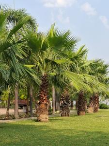 Image of 1000 Sq.ft Residential Plot / Land for sale in Datrenga, Raipur for Rs. 1900000