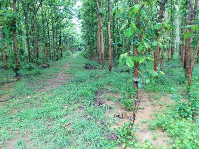Image of 1944 Sq.ft Residential Plot / Land for sale in Pallakadiyam, Rajahmundry for Rs. 1458000
