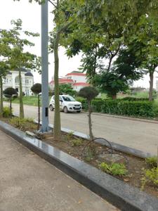 Image of 200 Sq.ft Residential Plot / Land for sale in Omaxe Phase 3 Mullanpur, New Chandigarh, Chandigarh for Rs. 29000000