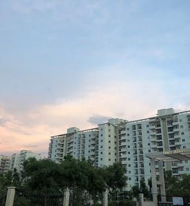 Image of 1550 Sq.ft 3 BHK Apartment / Flat for rent in DLF Woodland Heights, Bommasandra, Bengaluru for Rs. 30000