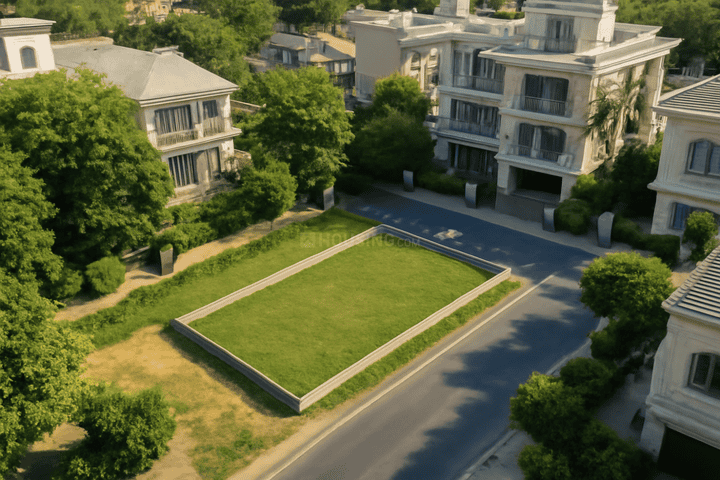 Block C, Sushant Lok Phase 1 Main Image 1