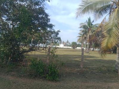 Image of 8000 Sq.ft Residential Plot / Land for sale in Muttukadu, Chennai for Rs. 9600000