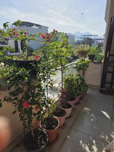 Balcony Image of 1150 Sq.ft 2 BHK Apartment / Flat for rent in Ametek Doon Square, Sahastradhara Road Dehradun for Rs. 30000