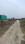 lal tappar Main Image 1