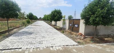 Jait Plot View 3