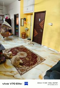 Living Room Image of 750 Sq.ft 2 BHK Independent House for sale in Minjur Chennai for Rs. 5500000