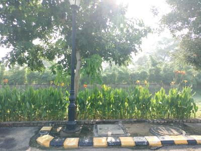 Image of 1152 Sq.ft Residential Plot / Land for sale in Omaxe City, Tajupur, Faridabad for Rs. 17300000