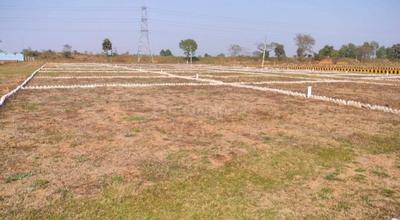 Bihta Plot View 3