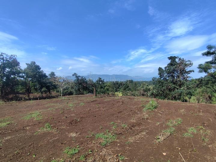 Karjat neral Main Image 1