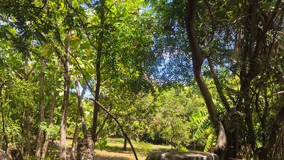 Shekinah Plot View 2