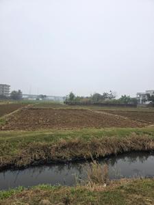 Image of 1361 Sq.ft Residential Plot / Land for sale in Shivala Par, Patna for Rs. 6500000