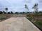 Open plot shadnagar Main Image 1
