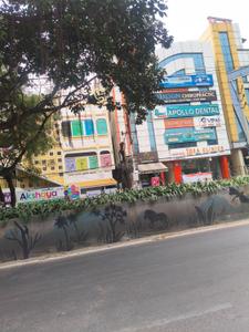 Vishwa Karma Colony Plot View 2