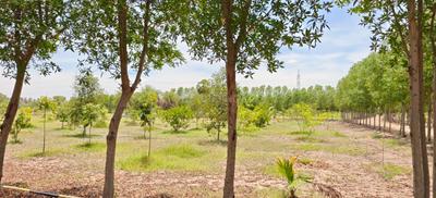 Image of 12000 Sq.ft Residential Plot / Land for sale in Uthiramerur, Chennai for Rs. 4000000