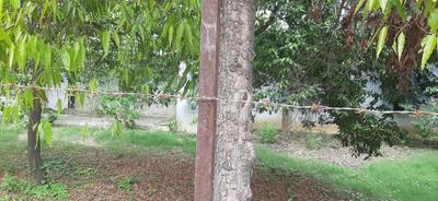 Image of 1000 Sq.ft Residential Plot / Land for sale in Rakanpur, Ahmedabad for Rs. 50000000