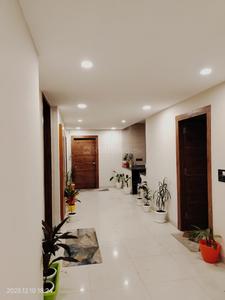 Hall Image of Noida nest  in Sector 41, Noida