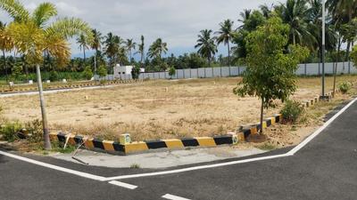 Royal Park View Plot View 3