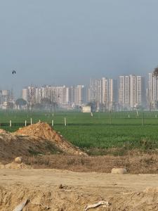 Image of 900 Sq.ft Residential Plot / Land for sale in Dadri, Greater Noida for Rs. 2500000
