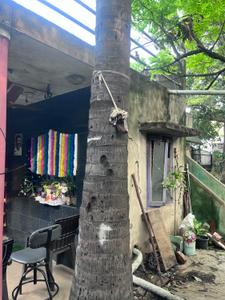 Image of 2156 Sq.ft 1 BHK Independent House for sale in Korattur, Chennai for Rs. 20000000