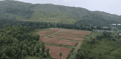 Image of 1350 Sq.ft Residential Plot / Land for sale in Srungavarapu kota, Vizianagaram for Rs. 1333200