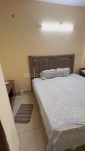 Bedroom Image of 500 Sq.ft 1 BHK Apartment / Flat for rent in Sector 63 Mohali for Rs. 25000