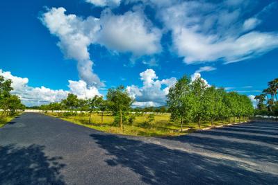 Swathi Luckie Township 1 Plot View 3