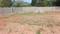 sree Mahadev Devolopers Plot View 2