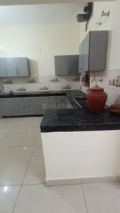 Kitchen Image of 1425 Sq.ft 3 BHK Independent House for rent in Sector 11 Panchkula for Rs. 25000