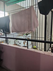 Balcony Image of 400 Sq.ft 2 BHK Apartment / Flat for sale in Gotri Vadodara for Rs. 1600000