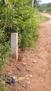 Image of 1568 Sq.ft Residential Plot / Land for sale in Andharua, Bhubaneswar for Rs. 2500000