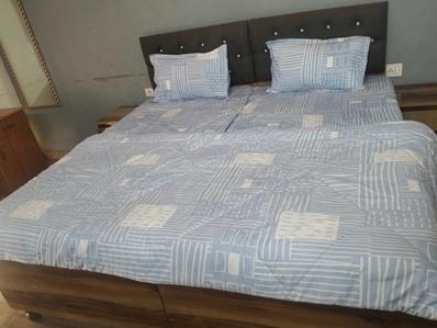 Bedroom Image of 435 Sq.ft 1 RK Apartment / Flat for rent in Paramount Golfforeste Premium Apartments, Surajpur Greater Noida for Rs. 15010