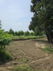 Image of 2700 Sq.ft Residential Plot / Land for sale in Jait, Vrindavan for Rs. 5700000