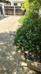 Image of 3000 Sq.ft 4 BHK Independent House for sale in Nashik Road, Nashik for Rs. 35000000