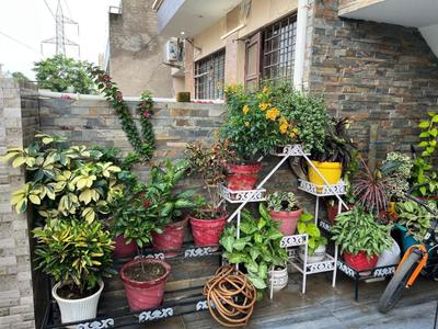 Image of 1800 Sq.ft 3.5 BHK Independent House for sale in Kharar, Mohali for Rs. 16500000