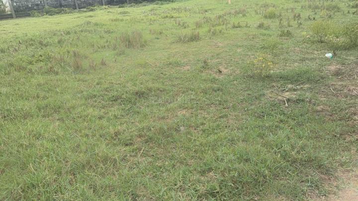 Padur Main Image 1
