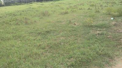 Image of 2400 Sq.ft Residential Plot / Land for sale in Padur, Chennai for Rs. 8000000