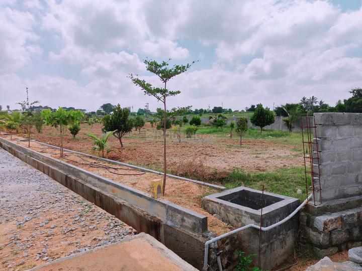 Terracon Doctors Enclave, Chandapura More Images 1