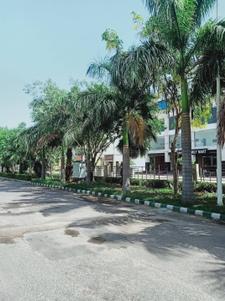 Image of 1620 Sq.ft Residential Plot / Land for sale in Essel Suncity 35, Suncity Township-I, Rohtak for Rs. 13500000