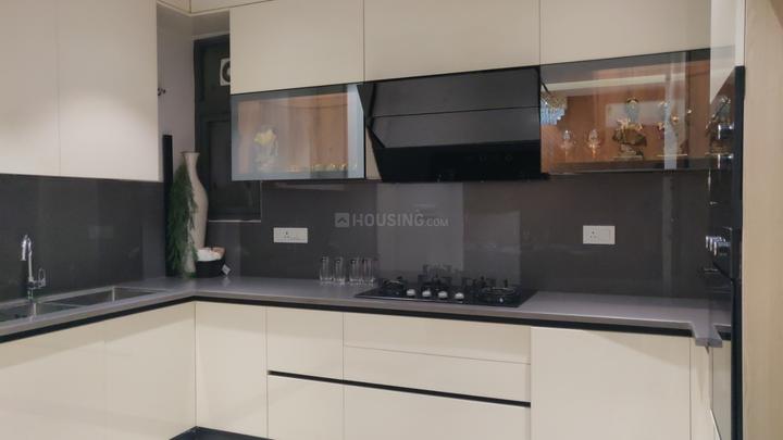 Noble Willasa Main Image 1