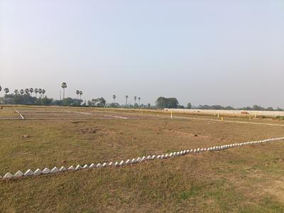 Bihta Plot View 1