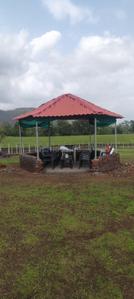 Image of 14088 Sq.ft Residential Plot / Land for sale in Shahapur, Thane for Rs. 2803512