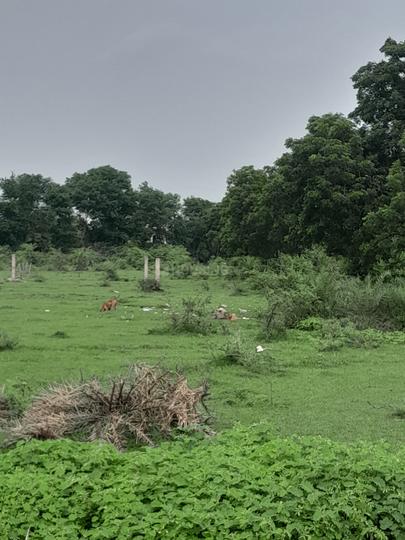 Bokhara Lay Out Main Image 1