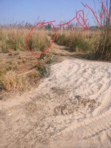 Image of 3000 Sq.ft Residential Plot / Land for sale in Suman Nagar, Haridwar for Rs. 1900000
