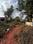 Siolim Main Image 1
