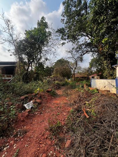 Siolim Main Image 1