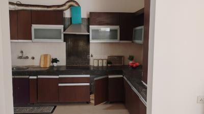 Kitchen Image of 1685 Sq.ft 3 BHK Apartment / Flat for rent in Exotica Eastern Court, Crossings Republik Ghaziabad for Rs. 22000
